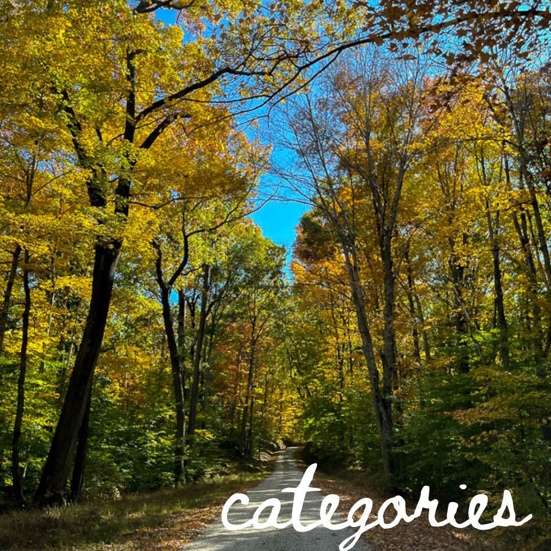 Fall in Indiana