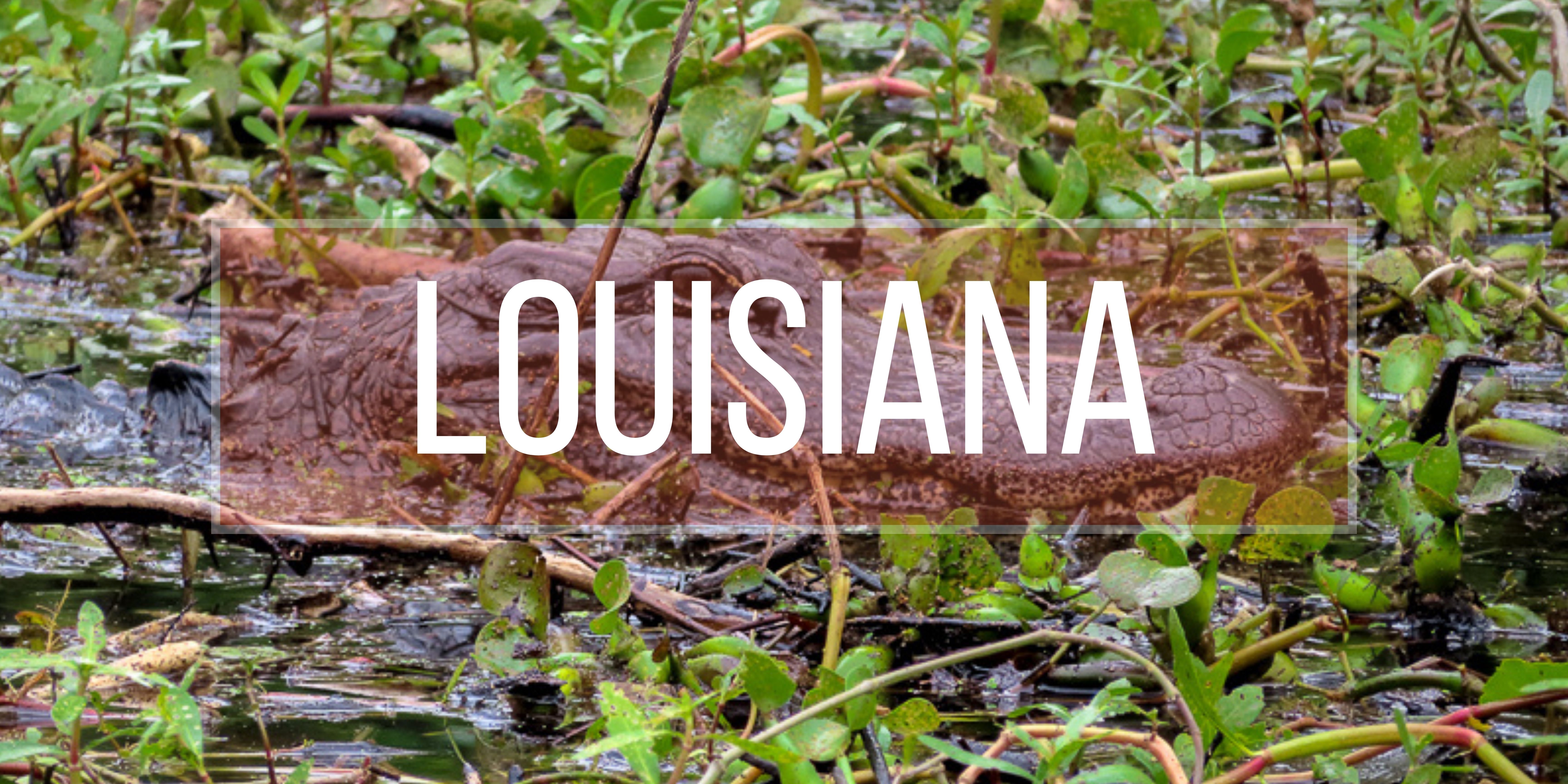 Louisiana Page