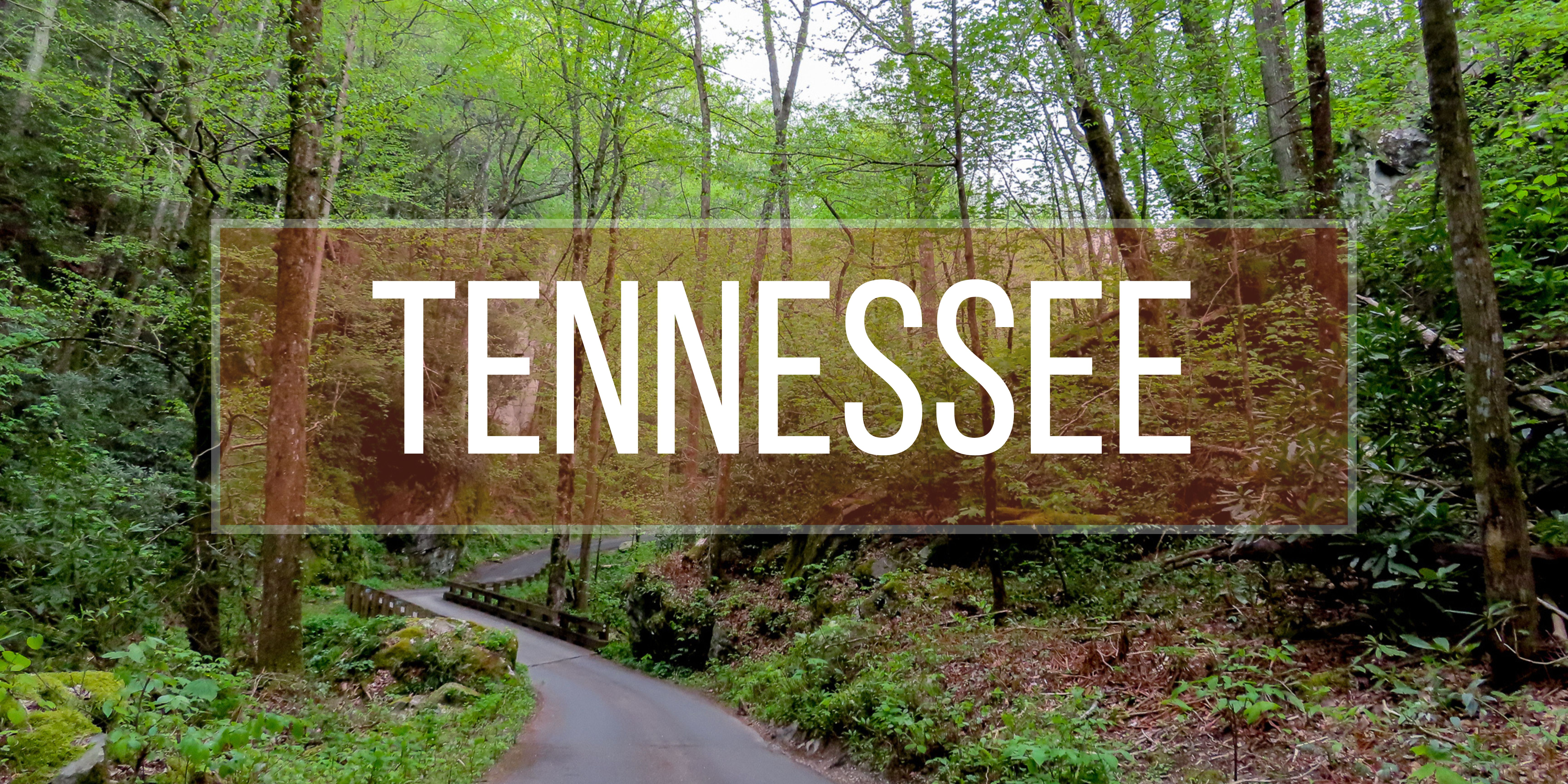 Tennessee Page